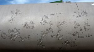 Pipeline & Asset Integrity